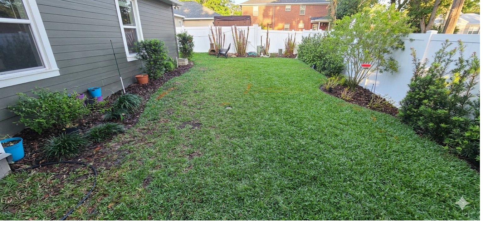 Before paver project 1